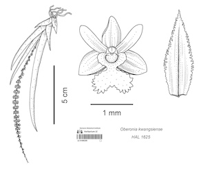 LE 01090209