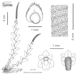 LE 01090217