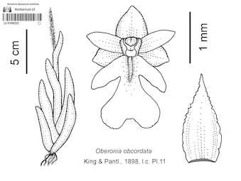 LE 01090225