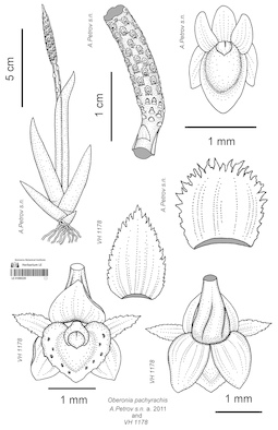 LE 01090229