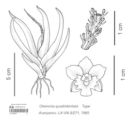 LE 01090231
