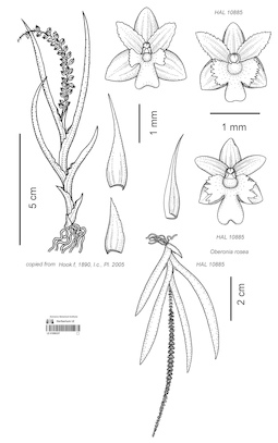 LE 01090237