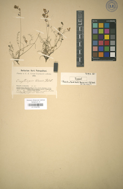 LE 01024760