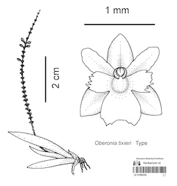 LE 01090254