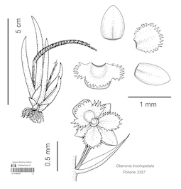 LE 01090256
