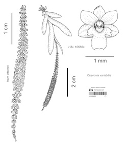 LE 01090257