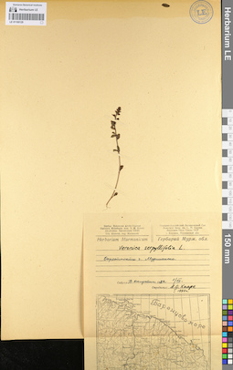 LE 01100129