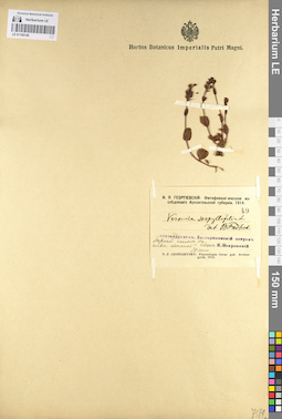 LE 01100149