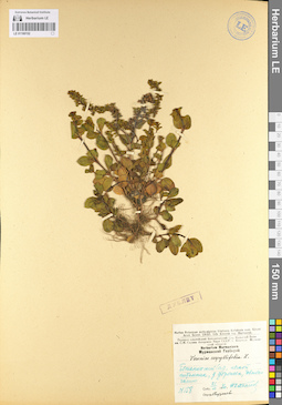 LE 01100152
