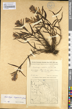 LE 01100180