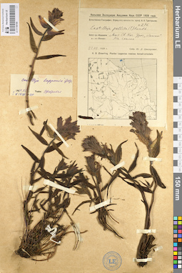 LE 01100188