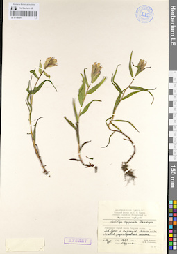 LE 01100191