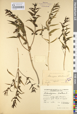 LE 01100227
