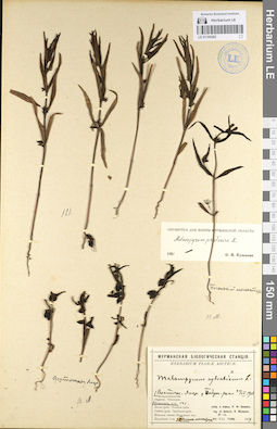 LE 01100262