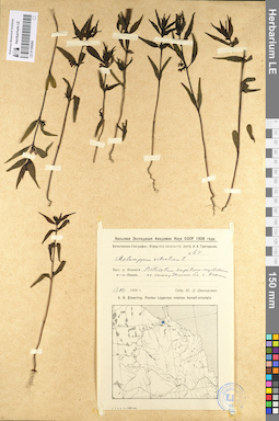 LE 01100264