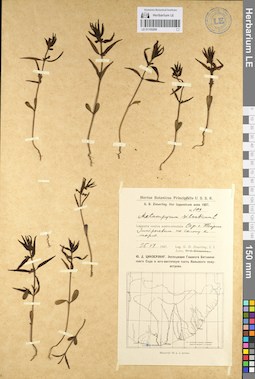 LE 01100266