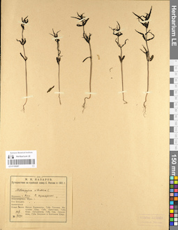 LE 01100267