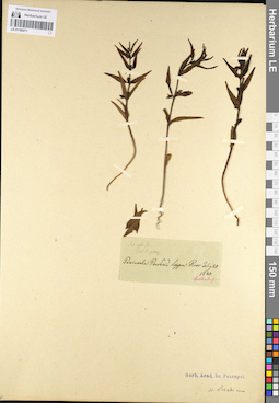 LE 01100271
