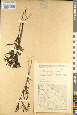 LE 01100275