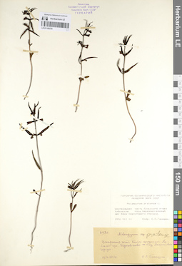 LE 01100278