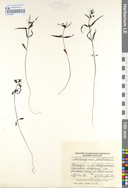 LE 01100281