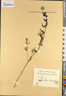 LE 01100305
