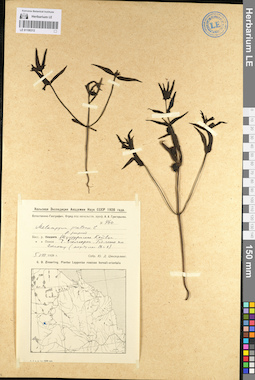 LE 01100312