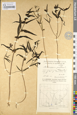 LE 01100316