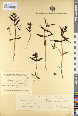 LE 01100337