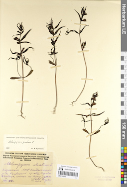 LE 01100353