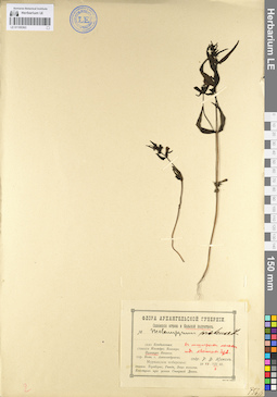 LE 01100363
