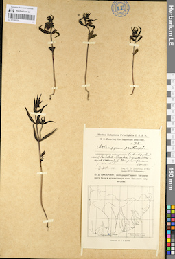 LE 01100370