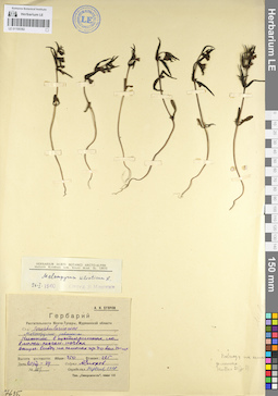 LE 01100382