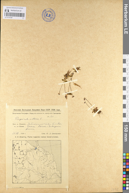 LE 01101387