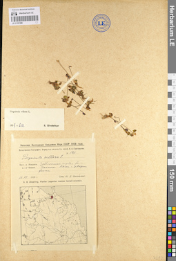 LE 01101388