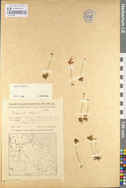 LE 01101389