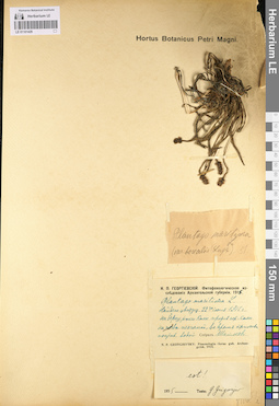 LE 01101429