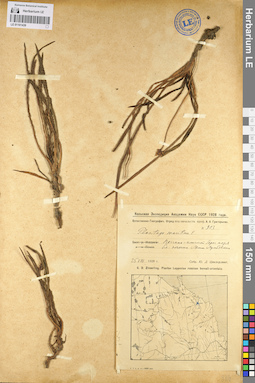 LE 01101439