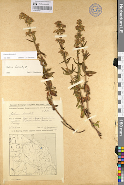 LE 01101497
