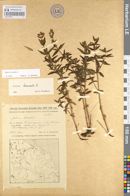 LE 01101512