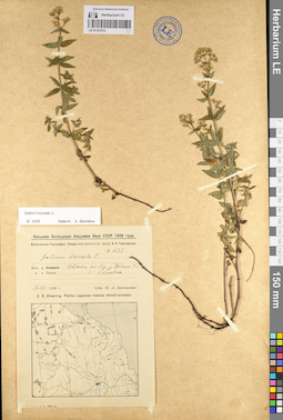 LE 01101513