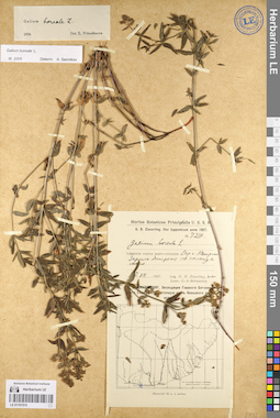 LE 01101515