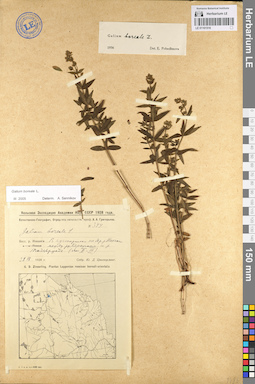 LE 01101516