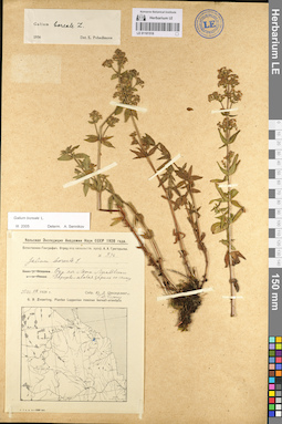 LE 01101518