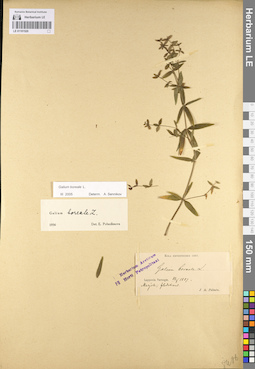 LE 01101520