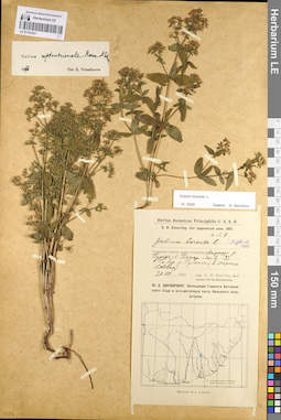 LE 01101521