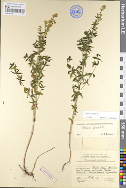 LE 01101525