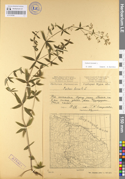 LE 01101536