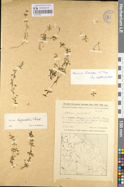 LE 01101537