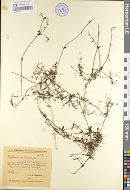 LE 01101575